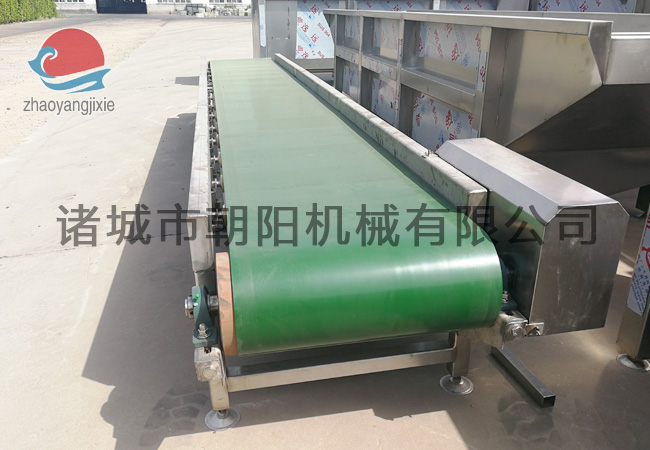 Cage conveyor belt